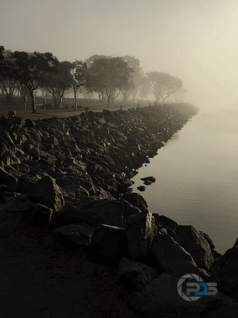 San Diego Fog