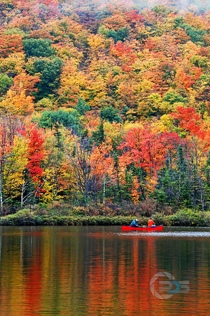Fall Colors of New Hampshire